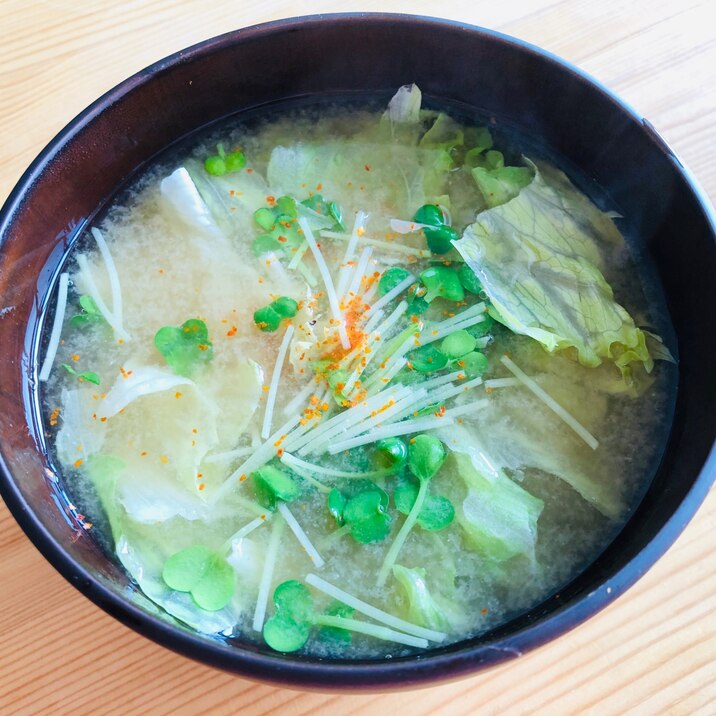 お湯を入れるだけ レタスとかいわれの味噌汁 レシピ 作り方 By きのこのみみ 楽天レシピ お湯を入れるだけ レタスとかいわれの味噌汁 レシピ 作り方 By きのこのみみ 楽天レシピ